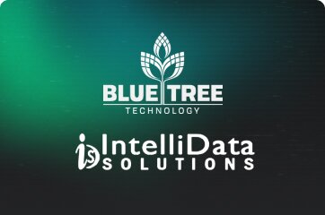 Blue Tree Technology and IntelliData Solutions Case Study